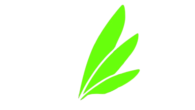 logo based on Avali icon by Ryuujin-ZERO, CC-BY logo based on Avali icon by Ryuujin-ZERO, CC-BY